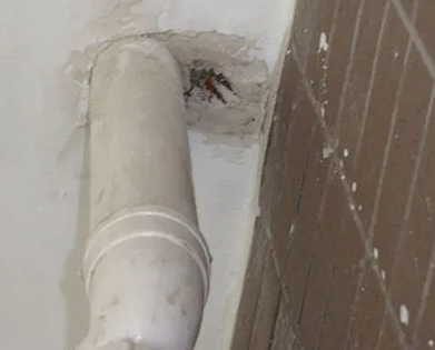 盘锦漏水检测哪家好